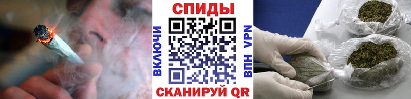 мега   Бологое  Бутират оксана 