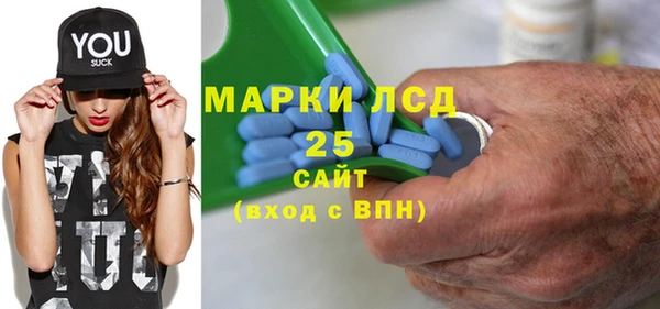 сатива Аркадак
