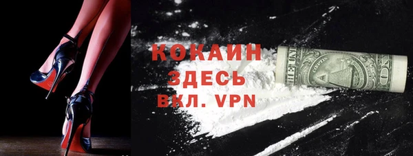 сатива Аркадак