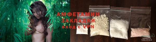 сатива Аркадак