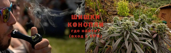 сатива Аркадак