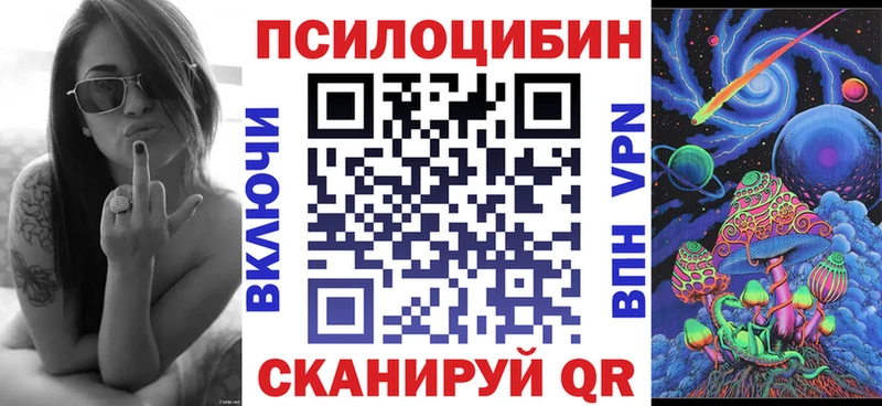 как найти закладки  Бологое  Псилоцибиновые грибы Cubensis 